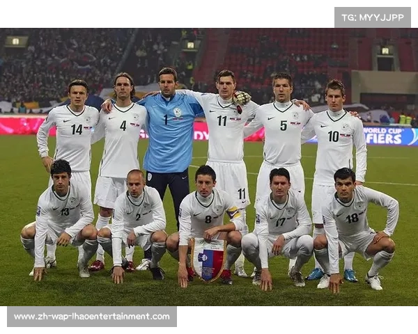 2010南非世界杯冠军和亚军分别是哪个国家球队的荣誉之路