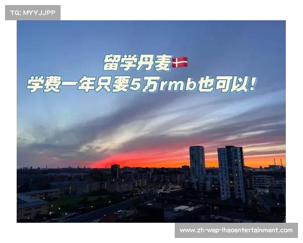 智利留学条件与费用概述 一年留学费用和申请要求详解